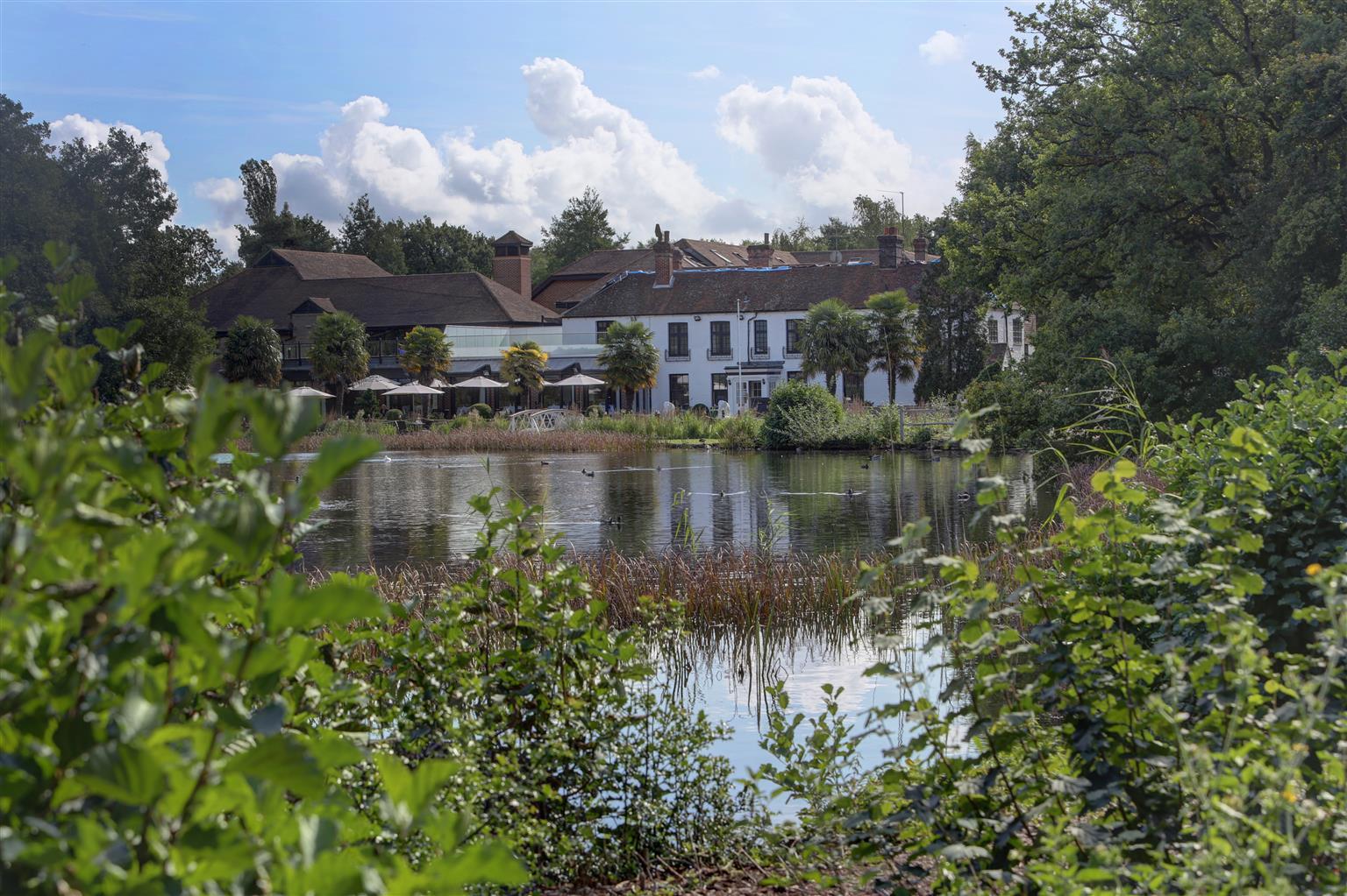 Frensham Pond Country House Hotel & Spa Farnham  Extérieur photo